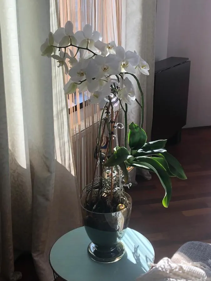 Old Town Apartment Lipscani Bucareste 0*,